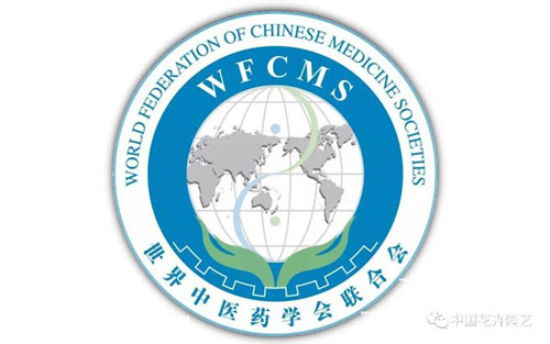 1602642657261196.jpg 11.jpg