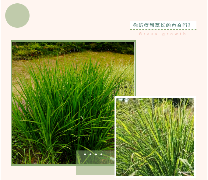 1678878738916940.png 微信圖片_20230315170545.png