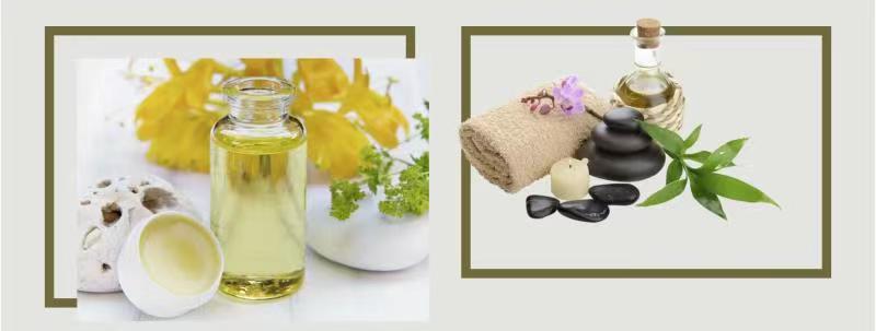 1680178660289027.jpg 微信圖片_20230328163117.jpg