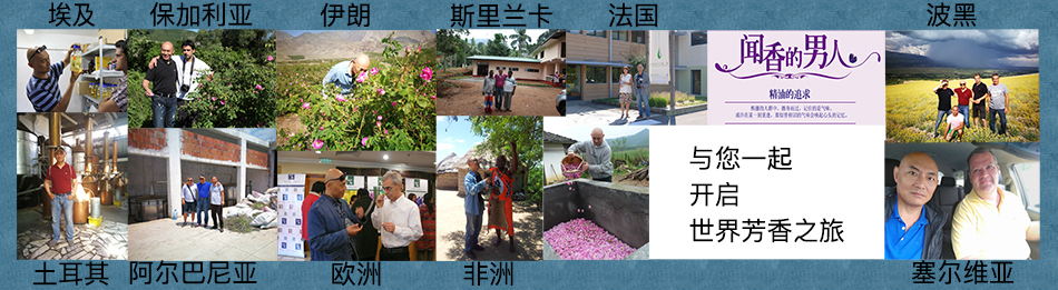 1546495244315492.jpg 店鋪廣告大圖.jpg