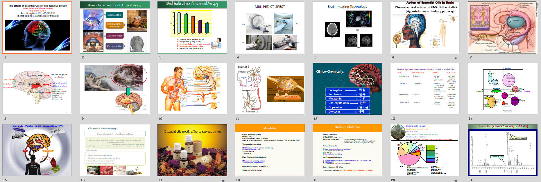 吳洪根博士精油對神經(jīng)系統(tǒng)的作用