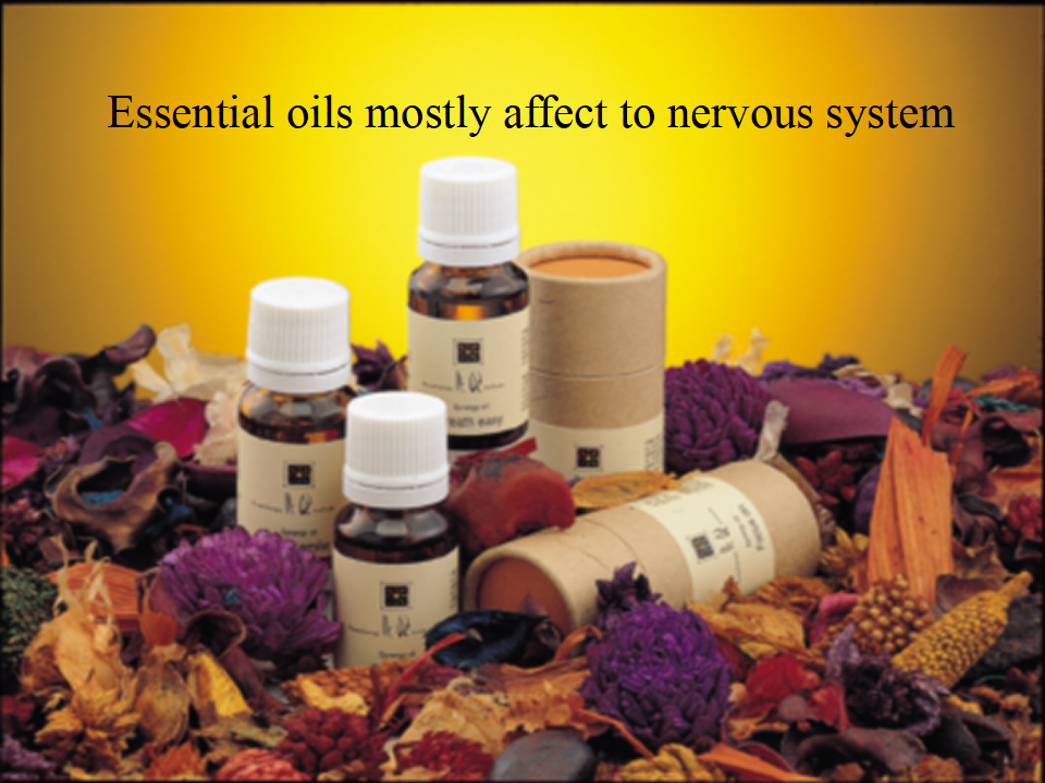 1556015533777639.png CIAIE 2019.Apr.12 (1)_17.png