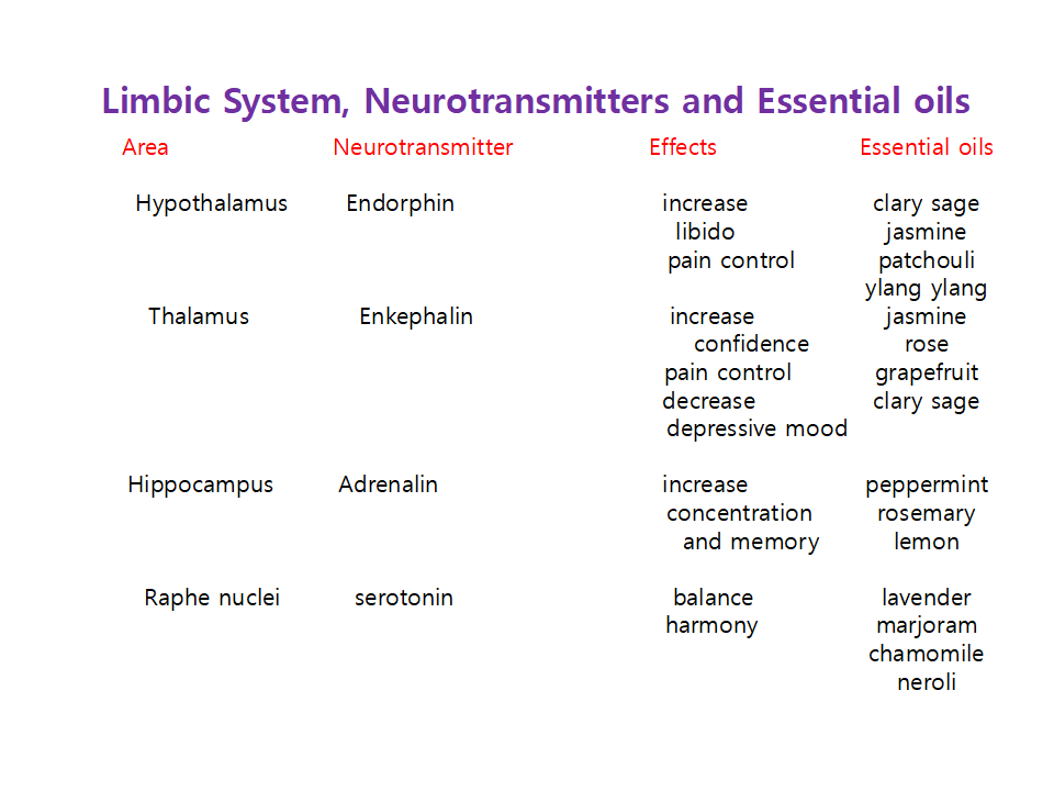 1556015588764980.png CIAIE 2019.Apr.12 (1)_13.png
